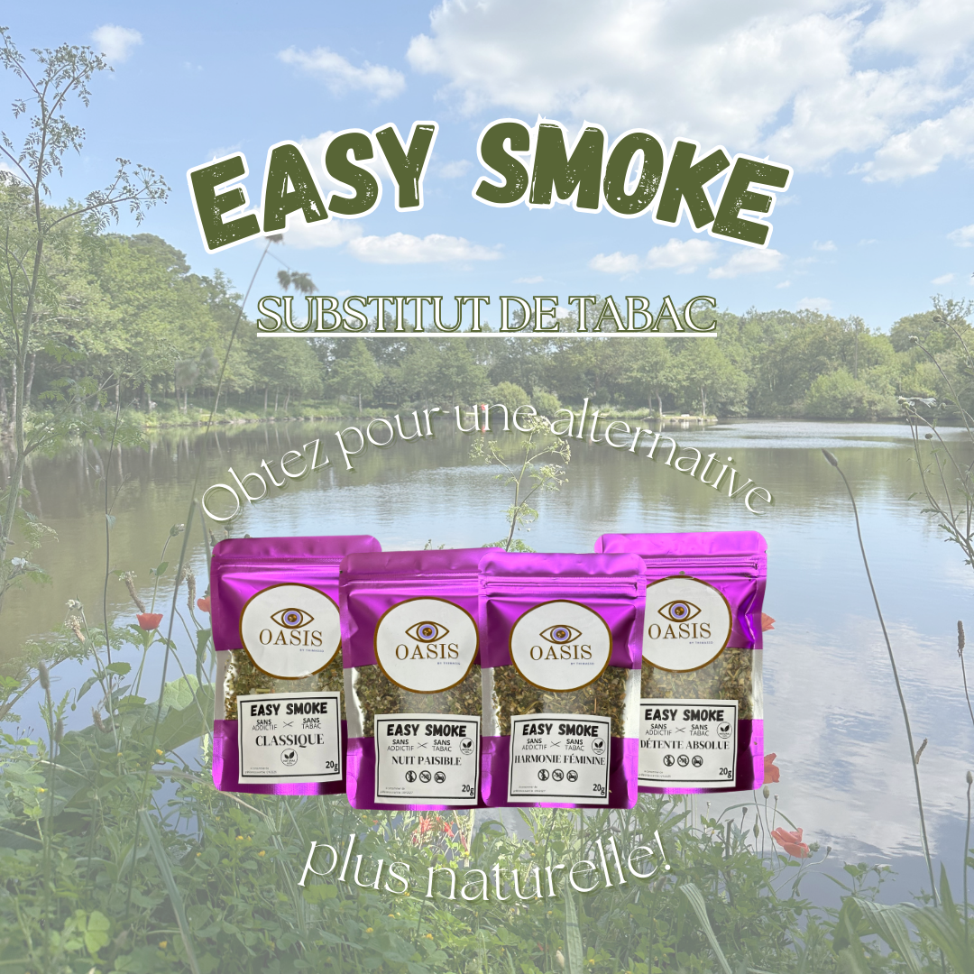 SUBSTITUT DE TABAC - EASY SMOKE